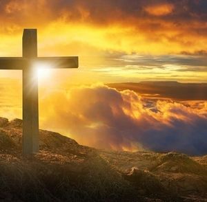 Meet your Posher, Lee